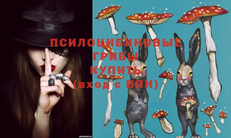 купить   Советский  ссылка на мегу сайт  Псилоцибиновые грибы Psilocybine cubensis 